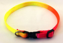 Valphalsband 10mm solfärg