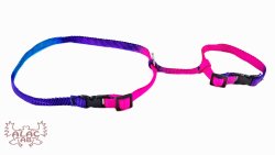 Kaninsele Regnbågsfärg/Pride