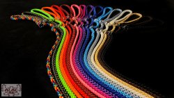 Retrieverkoppel dubbla stoppar alac