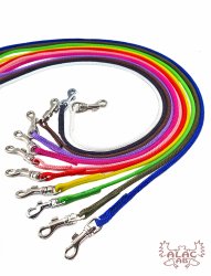 runda koppel kattkoppel småhundar