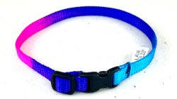 Valphalsband 10mm regnbågsfärg