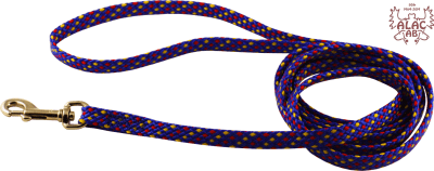 Zoom bild av valpkoppel hundkoppel