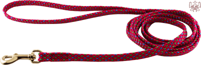 Zoom bild av valpkoppel hundkoppel