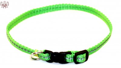 Zoom bild av valphalsband