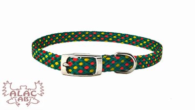 Zoom bild av Raka valphalsband