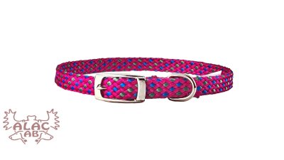 Zoom bild av Raka valphalsband