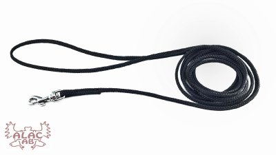 Zoom bild av runda koppel kattkoppel småhundar