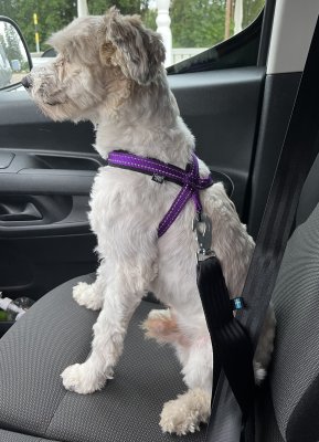 Zoom bild av Bilbältesfäste 50mm hake+ögla i bil