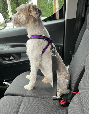 Zoom bild av Bilbältesfäste justerbar 25mm i bil