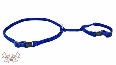 Zoom bild av Kaninsele