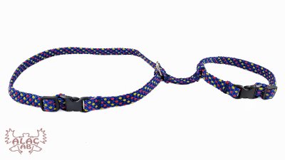 Zoom bild av Kaninsele