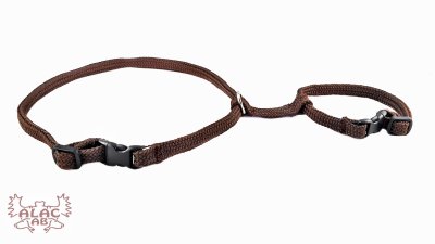 Zoom bild av Kaninsele