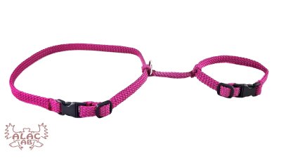 Zoom bild av Kaninsele