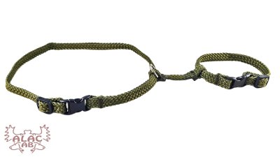 Zoom bild av Kaninsele