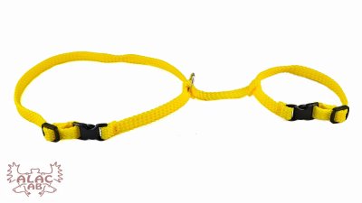 Zoom bild av Kaninsele