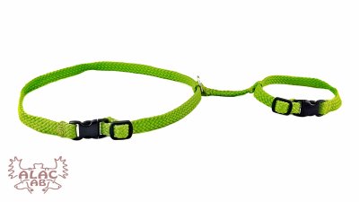 Zoom bild av Kaninsele