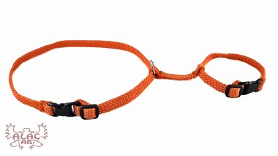 Zoom bild av Kaninsele