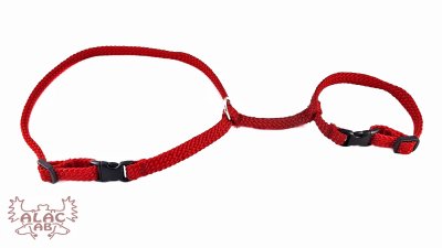 Zoom bild av Kaninsele