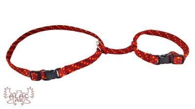 Zoom bild av Kaninsele