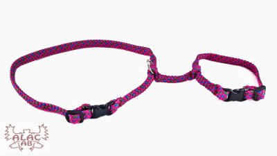 Zoom bild av Kaninsele