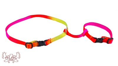 Zoom bild av Kaninsele Solfärg