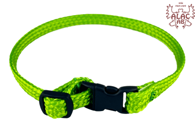Zoom bild av Katthalsband med snabbspänne neongrön