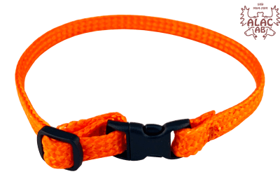 Zoom bild av Katthalsband med snabbspänne orange