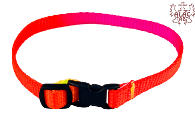 Zoom bild av Katthalsband med snabbspänne sol