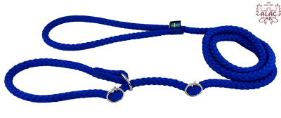 Zoom bild av Retrieverkoppel dubbla stoppar blå alac