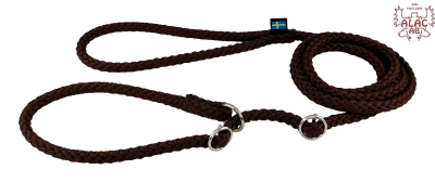 Zoom bild av Retrieverkoppel dubbla stoppar brun alac