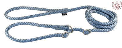 Zoom bild av Retrieverkoppel dubbla stoppar grå alac