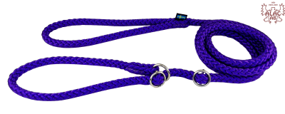 Zoom bild av Retrieverkoppel dubbla stoppar lila alac