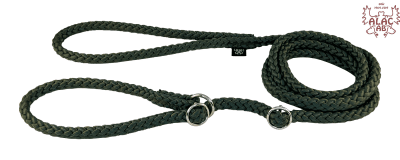 Zoom bild av Retrieverkoppel dubbla stoppar skogsgrön alac