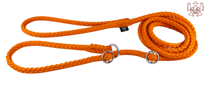 Zoom bild av Retrieverkoppel dubbla stoppar orange alac