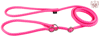 Zoom bild av Retrieverkoppel dubbla stoppar rosa alac