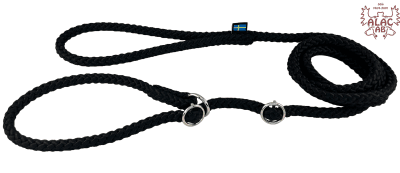 Zoom bild av Retrieverkoppel dubbla stoppar svart alac