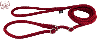 Zoom bild av Retrieverkoppel dubbla stoppar vinröd alac