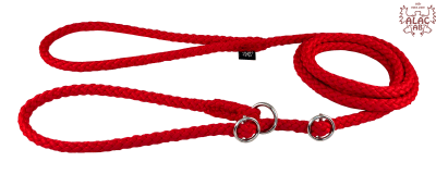 Zoom bild av Retrieverkoppel dubbla stoppar röd alac