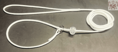 Zoom bild av Utställningskoppel med ring och stopp vit