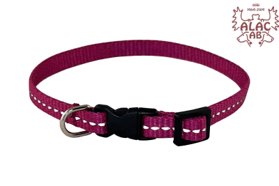 Zoom bild av Valphalsband med reflex cerise