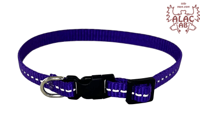 Zoom bild av Valphalsband med reflex lila