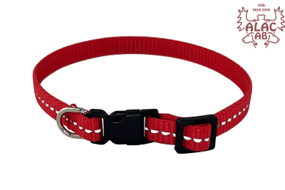 Zoom bild av Valphalsband med reflex röd