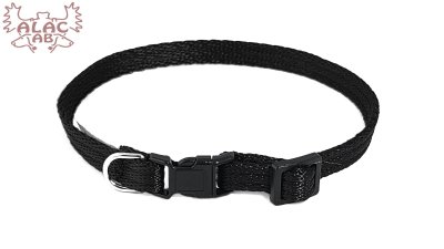 Zoom bild av valphalsband